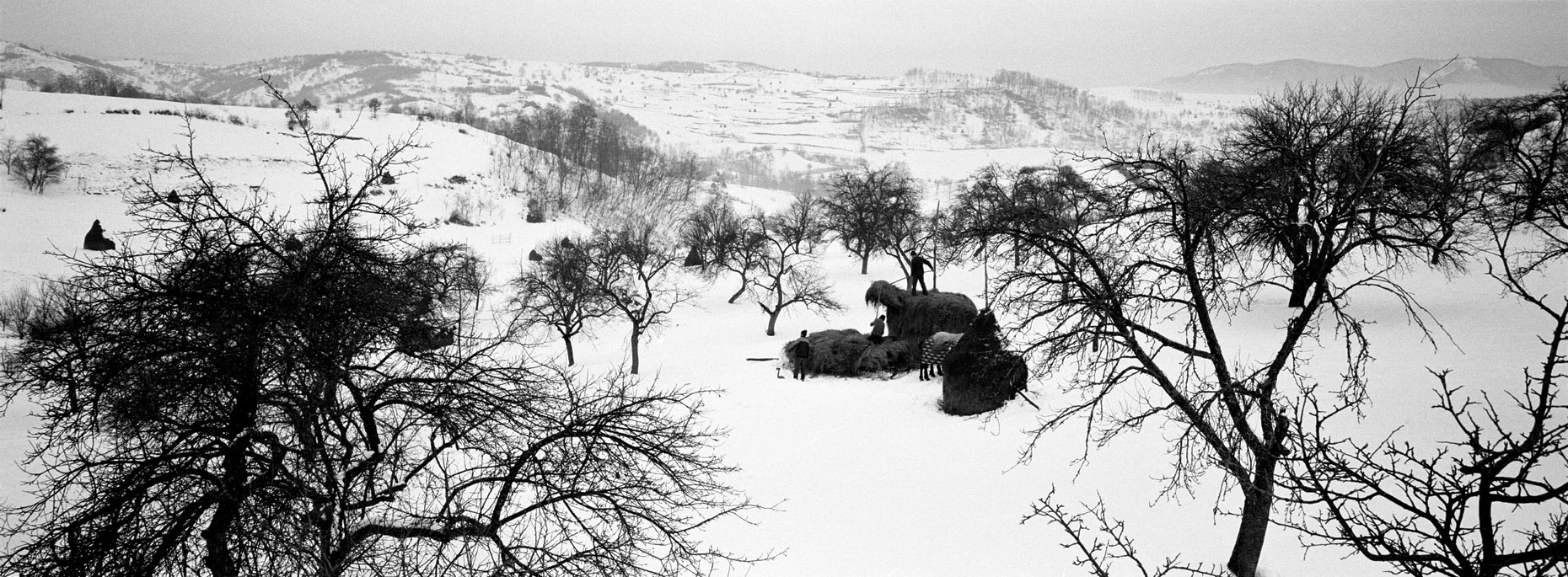 003B_Ellicson_2003_Winter_Haystack_Panoramic