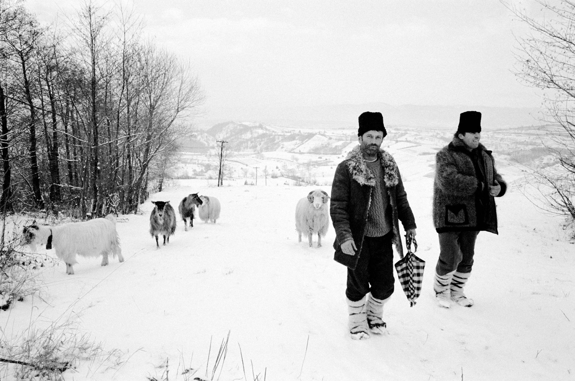 008_Ellicson_2003_Winter_Back_From_Ocna