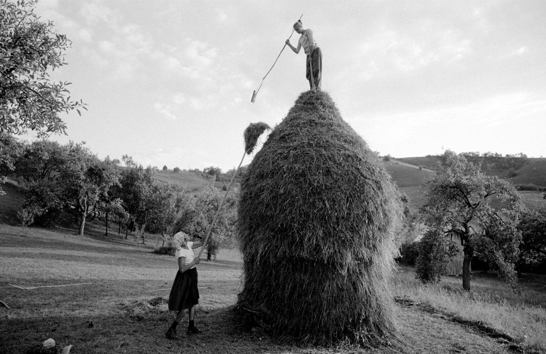 080_Summer_Haymaking